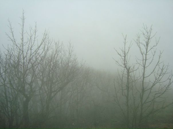 №3, Толик Псёла №3, Толик Псёла