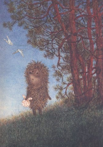 Димка Шевчук | Харьков