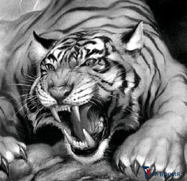 Олеся Правдухина | Санкт-Петербург