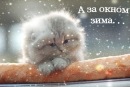 Фотография Ирина Шестак