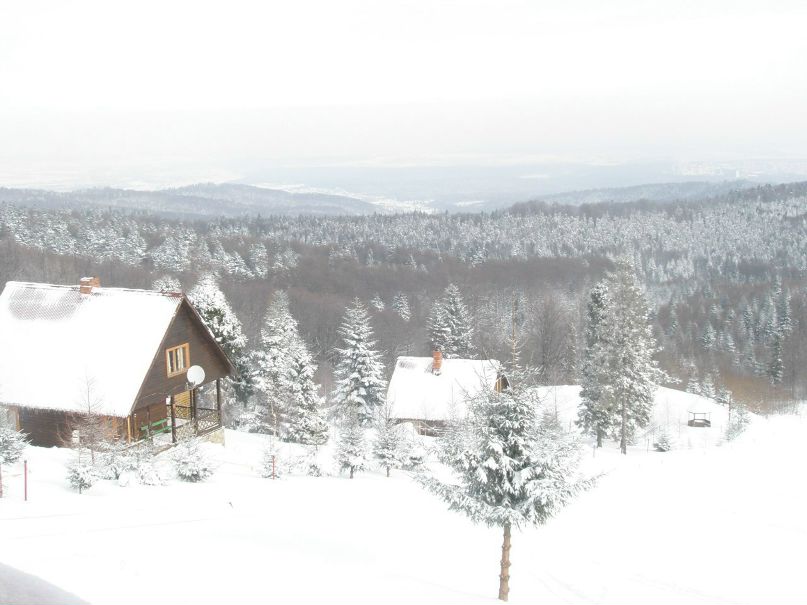 Татьяна Даневич | Киев