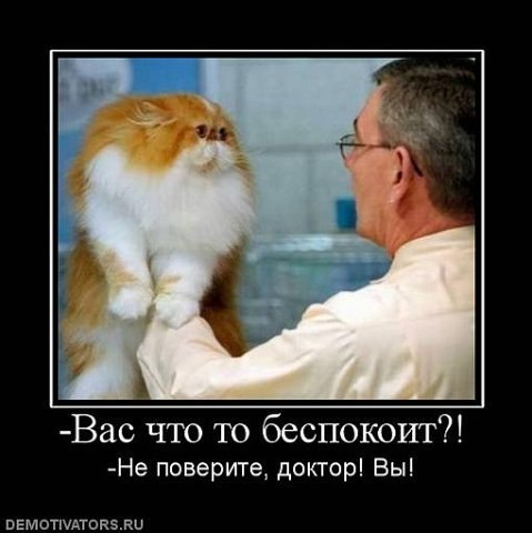 Саша Соболь | Санкт-Петербург