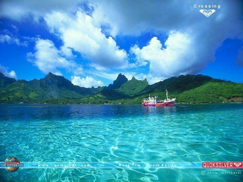 Ленок Коба | Санкт-Петербург