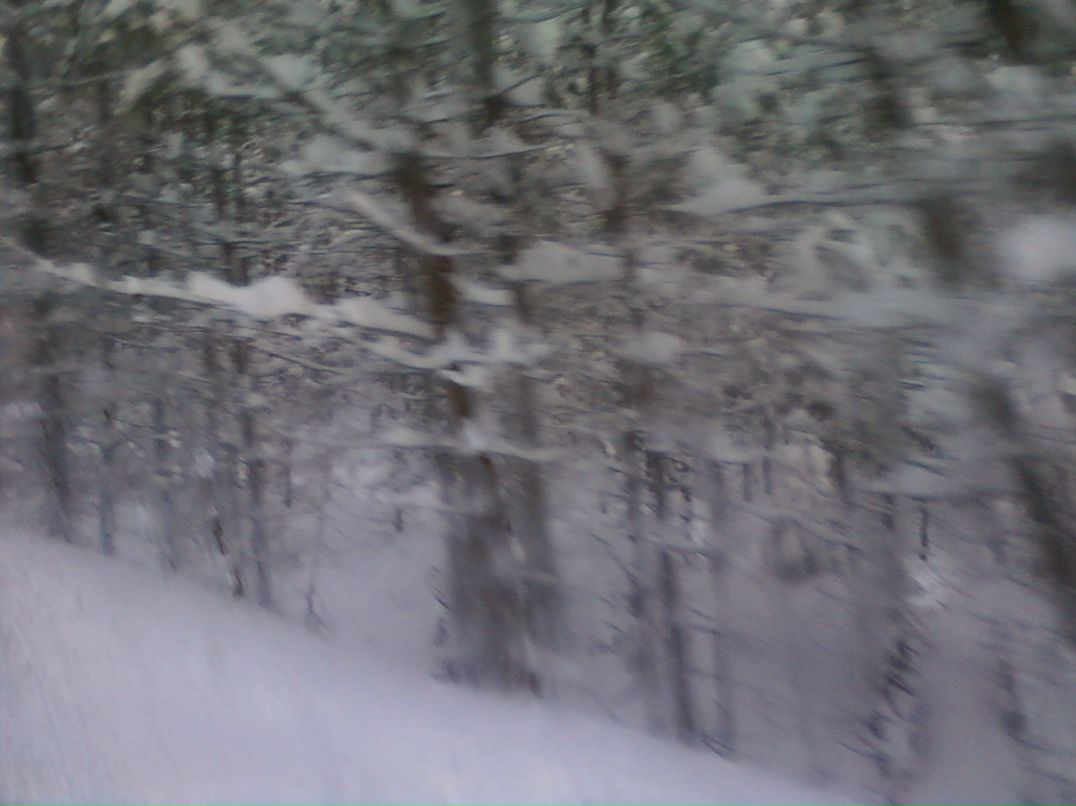 Владимир Мамаев | Ильинский