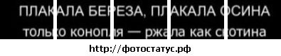 №29 Кристинка Суханова 13.05.1992: профиль, фото, статус - ВКонтакте №29 Кристинка Суханова 13.05.1992: профиль, фото, статус - ВКонтакте