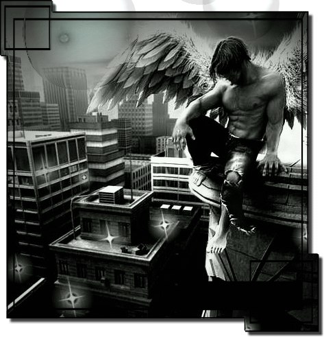 Серёга Мрачко | Санкт-Петербург