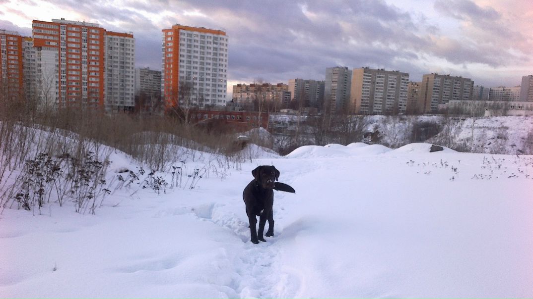 №52, Маргарита Кольчевская, 43 года, Видное, Россия №52, Маргарита Кольчевская, 43 года, Видное, Россия