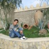 Аватар: Reshid Memmedov