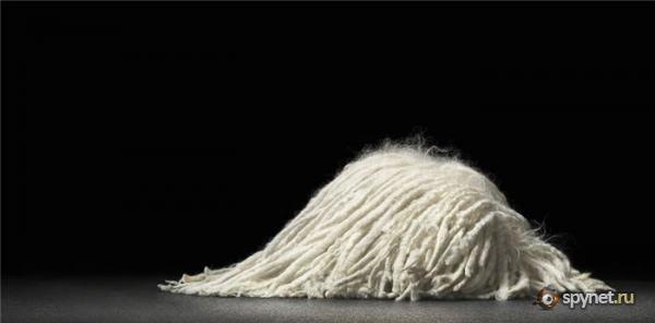 №93, Карина Куба, 41 год №93, Карина Куба, 41 год