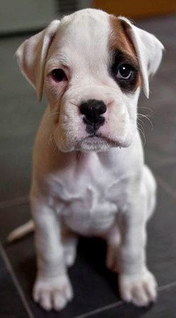 Виталий Сергеевич †°^ツ™-$ Xerson ╧║¬⎷⎛©°®Ђµ«† | Warszawa