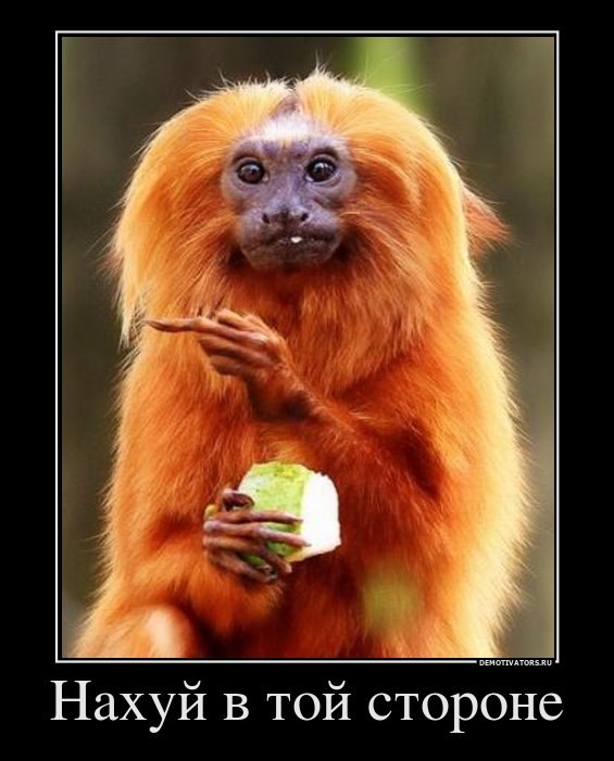 Руслан Тельнов | Обнинск