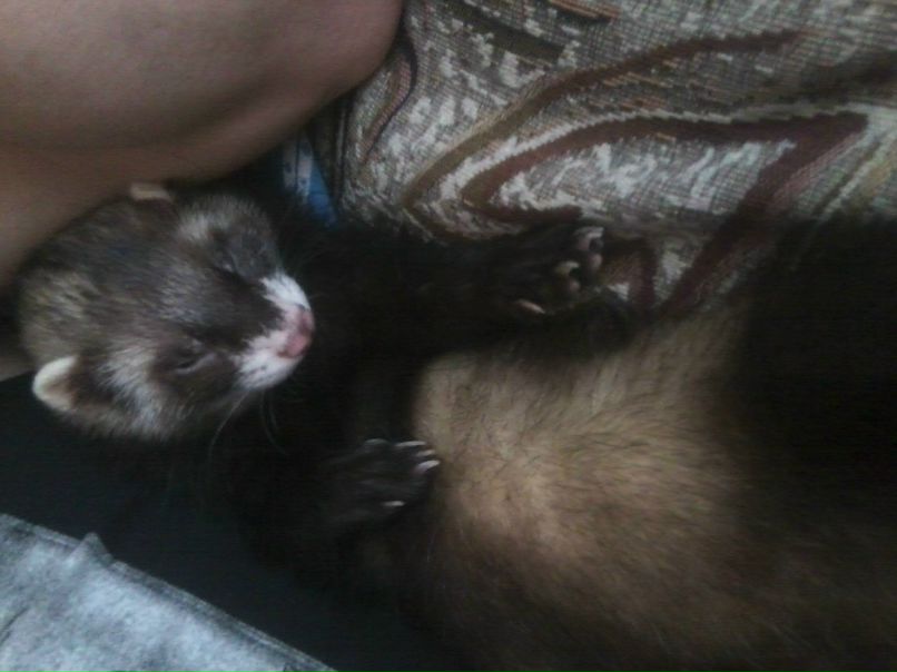 Настя Гавриленко | Саратов