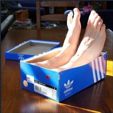 Роман Фокин | Киров