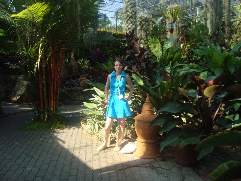 Анна Курнешова | Развилка