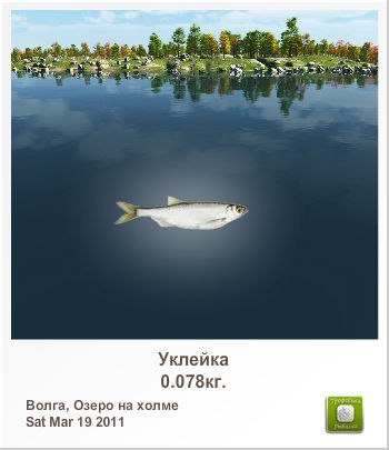 Денис Ткачук | Киев