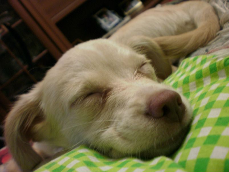 №32, Тетянка Стрельцова, 35 лет, Киев №32, Тетянка Стрельцова, 35 лет, Киев