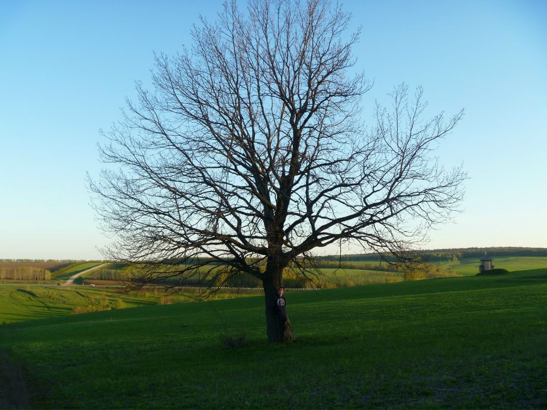 Руслан Якубов | Казань