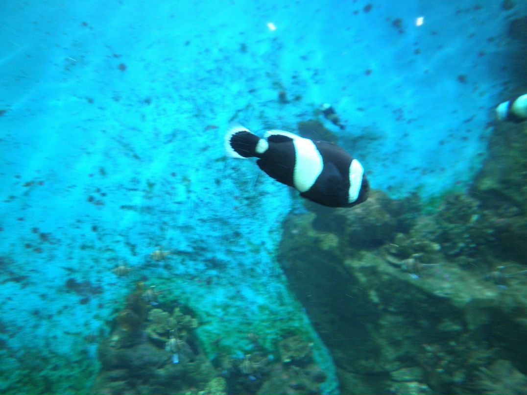 Настюша Мосина | Москва