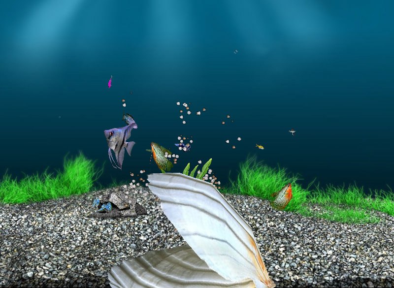 Лена Дзюба | Заводское / Червонозаводское