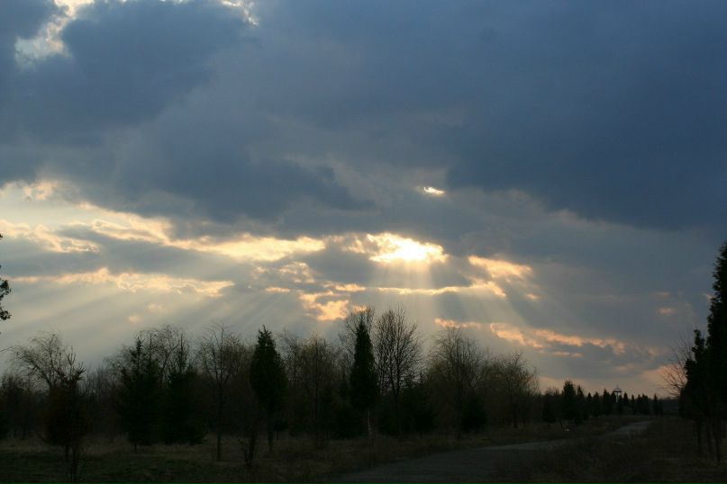 Игорь Понарин | Харьков