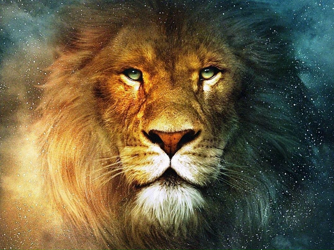 Алмаз Рамазанов [Целиноградский] | Астана / Нур-Султан