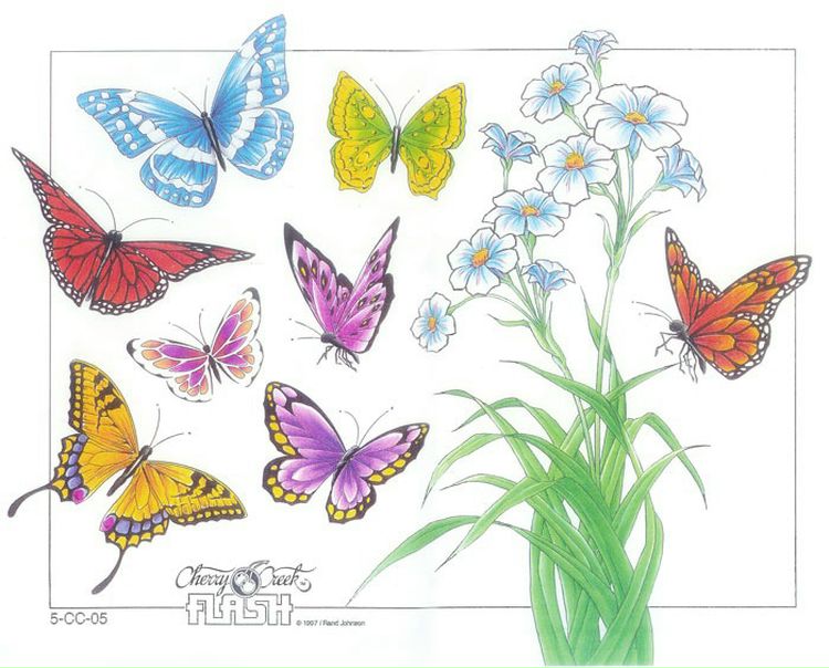 №20, Anna Петрищева, 37 лет, Москва №20, Anna Петрищева, 37 лет, Москва