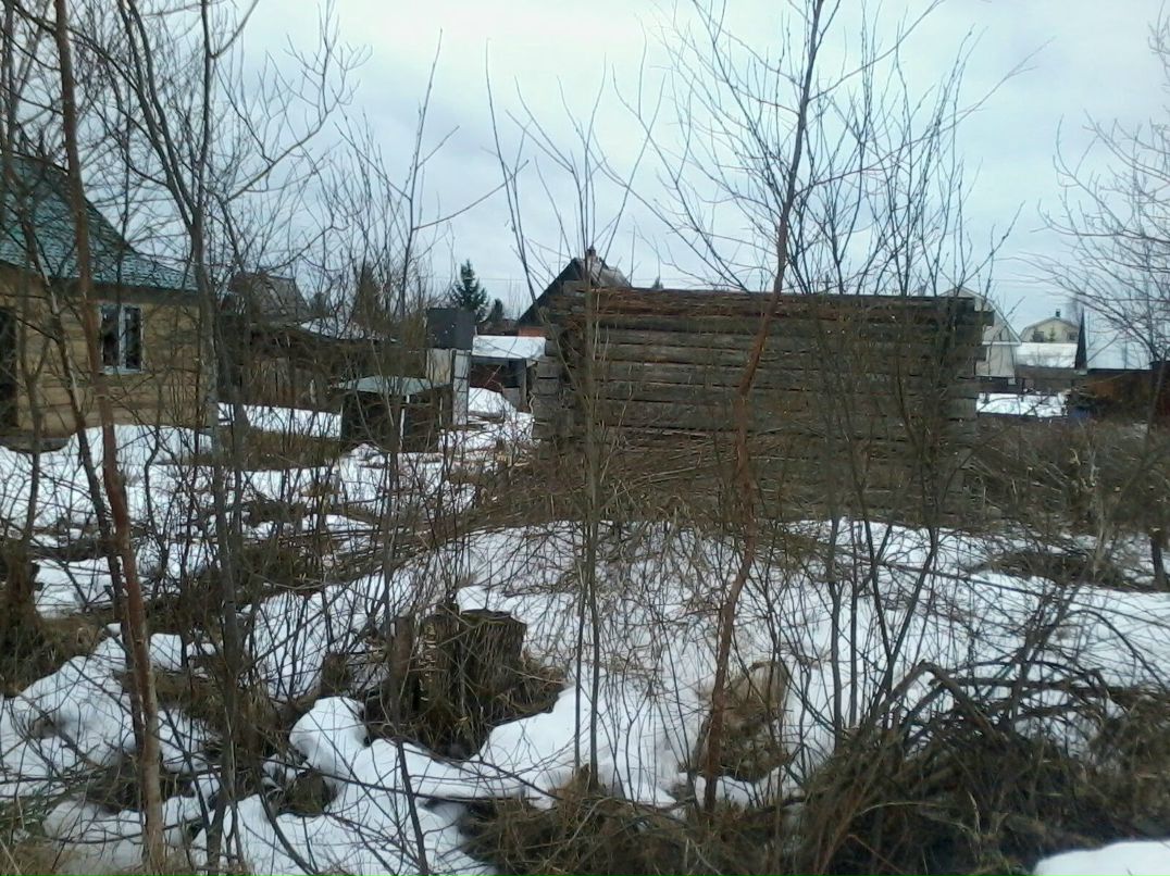 Александр Ревякин | Санкт-Петербург