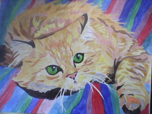 Анастасия Маркова | Краснодар