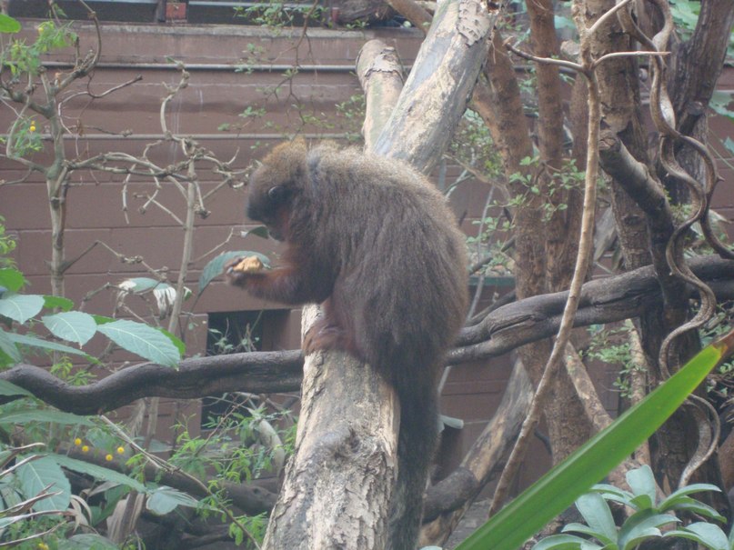 Егор Карпенков | Санкт-Петербург