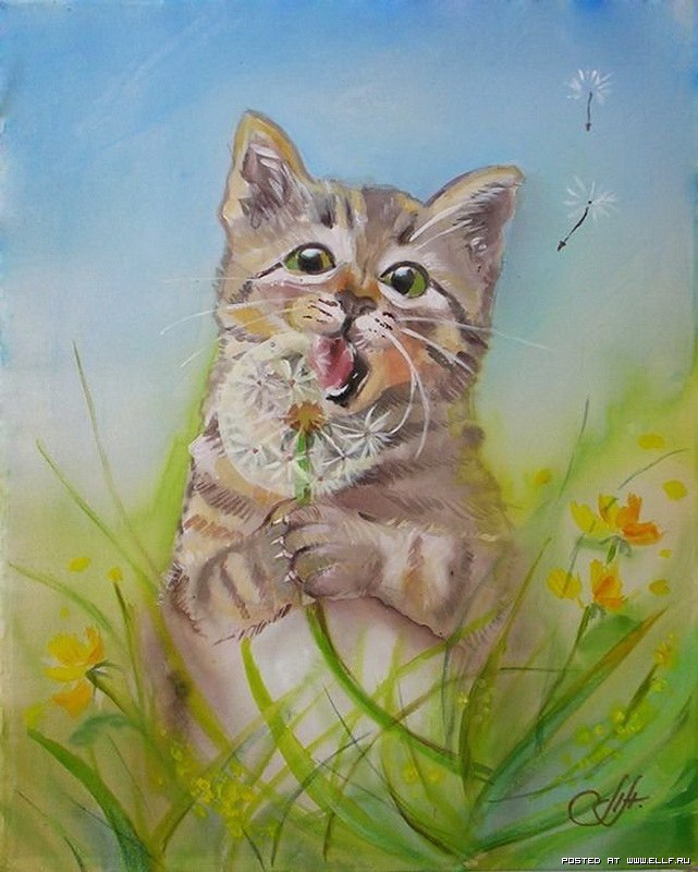 Елена Вилисова | Екатеринбург