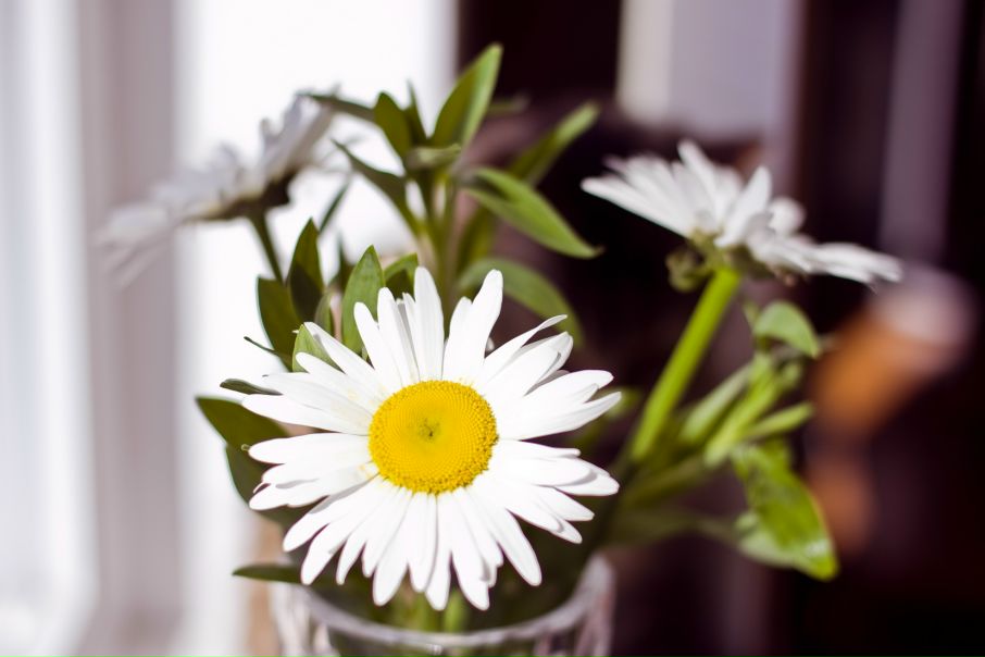 №28, Елена Федорина, 38 лет, Симферополь №28, Елена Федорина, 38 лет, Симферополь