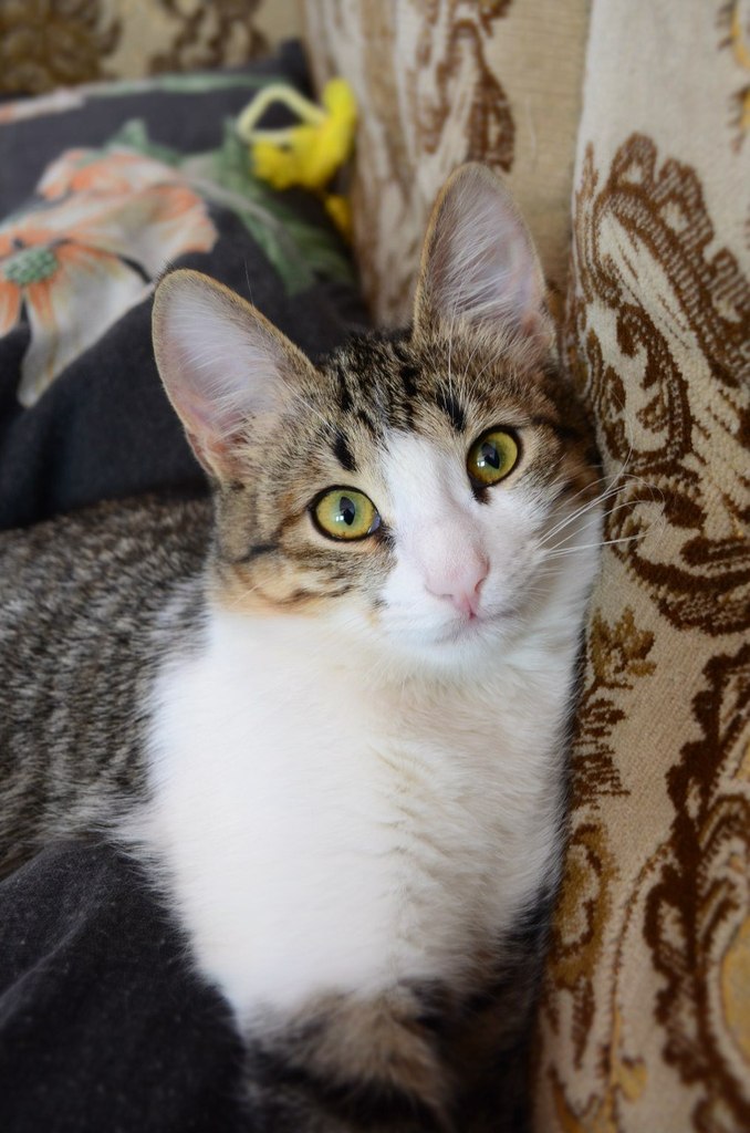 Наталья Винокурова | Самара