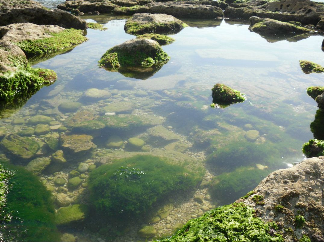 Alina Simonova | Сумы