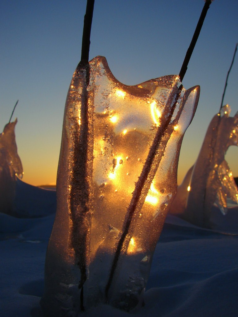 Роман Печерский | Самара