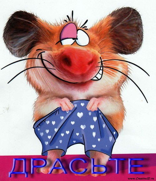 Андрей Марфусалов | 