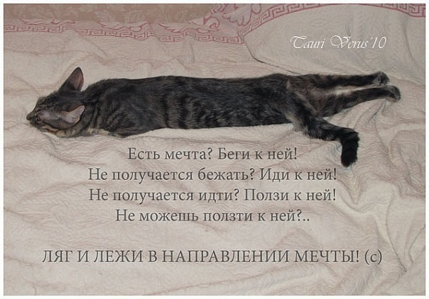 №2, Тамара Цогоева, Ставрополь №2, Тамара Цогоева, Ставрополь