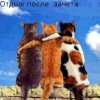 Аватар: Ajgm Mjgjg