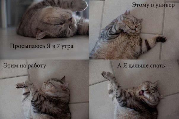 №22, Мария Mellory, Вильнюс №22, Мария Mellory, Вильнюс