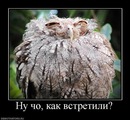 Фотография Поморцева Лёни
