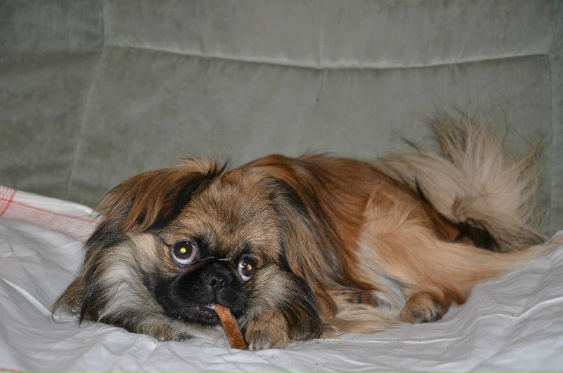 Николай Никонов _Юрич_ | Тюмень