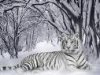 ☜♡☞★■▄ 7-Б ЛУТШИЙ!!☜♡☞★■▄ ☜♡☞★■▄ 7-Б ЛУТШИЙ!!☜♡☞★■▄