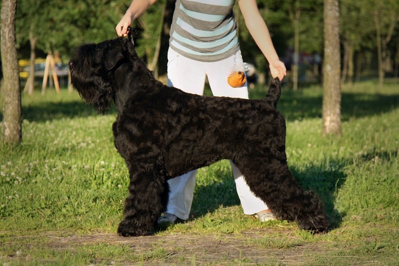 Evgenia Kantutis | Санкт-Петербург