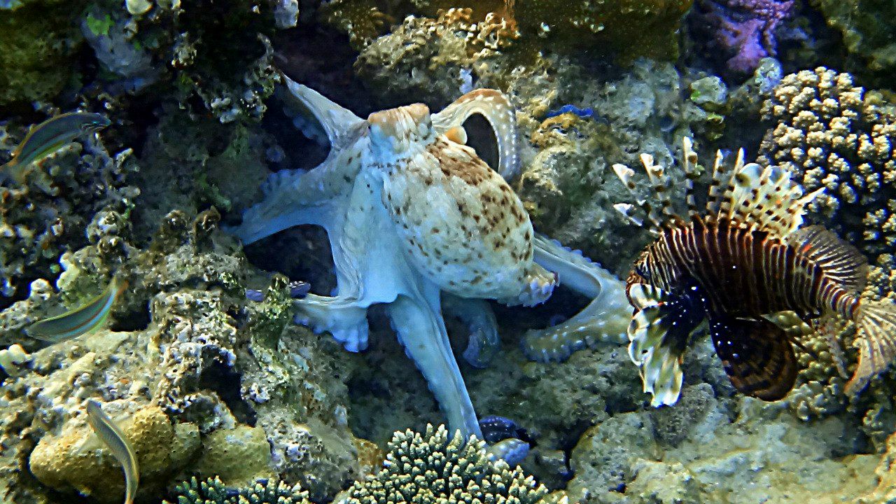 Наталья Денисова | Москва