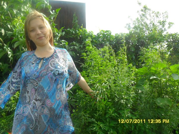 №16, Регинка Гарданова №16, Регинка Гарданова