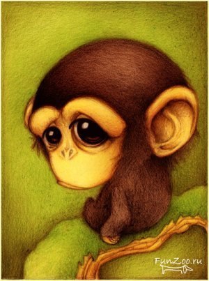 Алёна Солнцева | Николаев