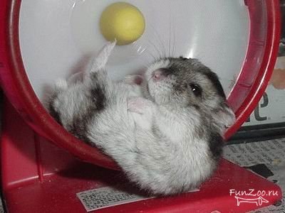 Дарья Аверьянова Андреевна | Полевской