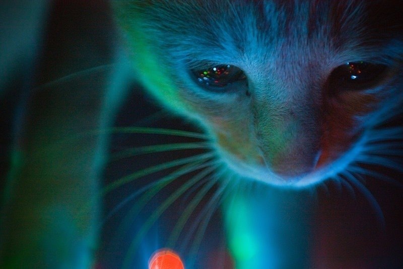 Тёма Мелдо | Петрозаводск