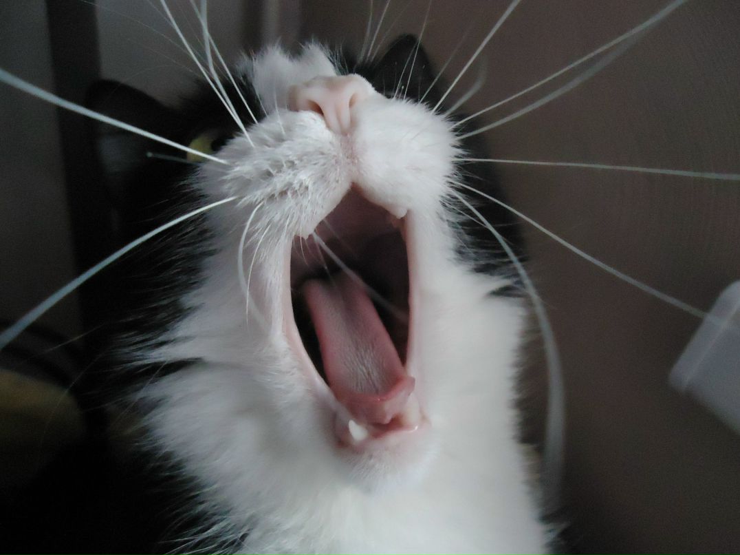 Дарья Кондратенко | Киров