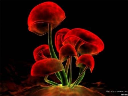 Виктория Гречанова | 