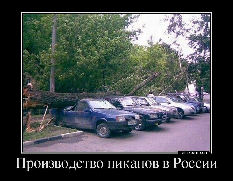 Павел Никитин | Кингисепп